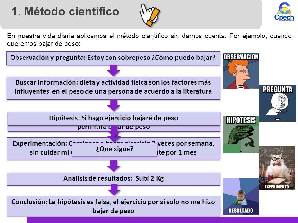 ola de crimenes descargar como instalar correderas para cajones